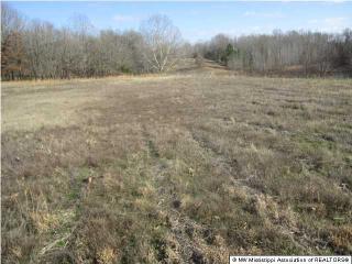 39 Winter Oaks Dr, Slayden, MS 38642-9124