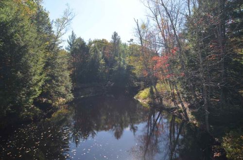 26 Ford Mill Rd, Danbury, NH 03230-4711
