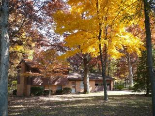 76 Carole Rd, Springfield IL  62711-9466 exterior