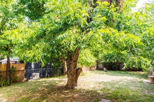 1003 45th St, Austin TX  78751-4123 exterior