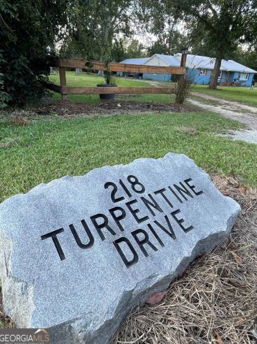 218 Turpentine Dr, Portal, GA 30450-5268