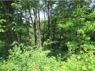 9 Hiltons Ln, Rochester, NH 03868-8532