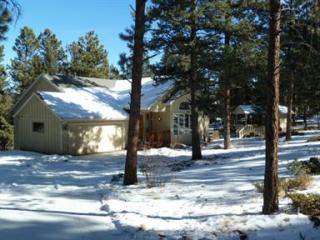 37 Kit Ln, Bailey, CO 80421-2123