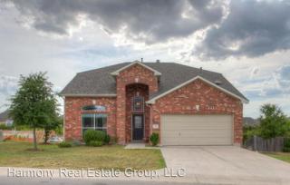 351 Limestone Trl, Austin TX  78737-8850 exterior