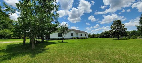 173 Benny Sharp Rd, Klondike, GA 31036-5304