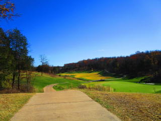 152 Shinnecock Hills Dr, Branson, MO 65616-4213