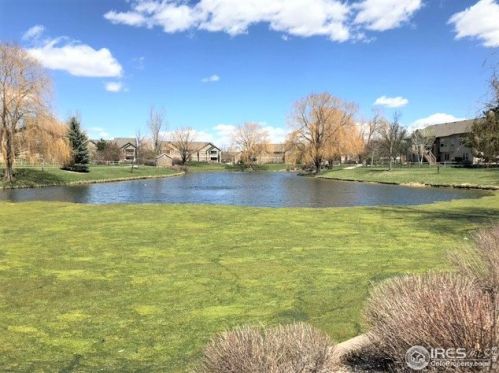 5719 White Willow Dr, Fort Collins CO  80528-6320 exterior