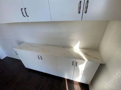 841 Willow Dr, Denver CO  80603-7743 exterior