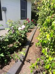 1612 Avalon St, Los Angeles CA  90026-1816 exterior