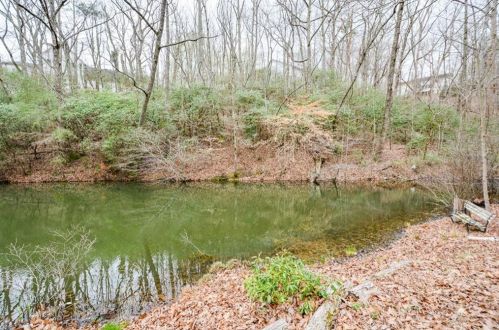 126 Colt Ct, Big Canoe GA  30143-0032 exterior