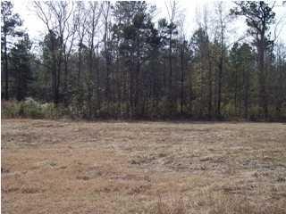 36 Sweet Gum Ln, Walterboro, SC 29488-9463