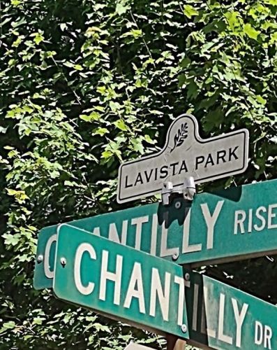 1138 Chantilly Rise, Atlanta GA  30324-5452 exterior