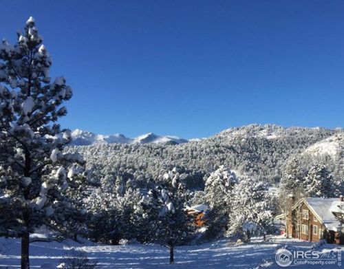 315 Big Horn Dr, Estes Park CO 80517-9004 exterior