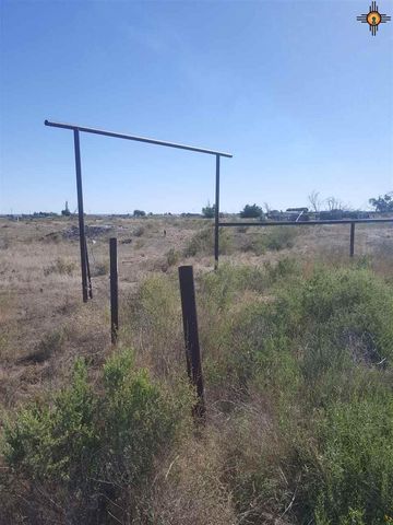 417 Petree Rd, Hagerman, NM 88232-9723