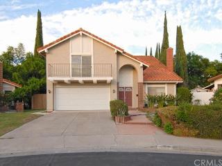 14512 Mango Ave, Irvine, CA 92606-2141