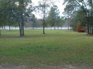8013 Malone Drive Loop, Donalsonville, GA 39845-5343