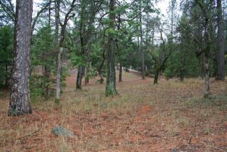 4220 Empire Creek Cir, Virner, CA 95634-9635
