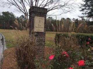 816 Rue Dr, Charleston, SC 29414-7929