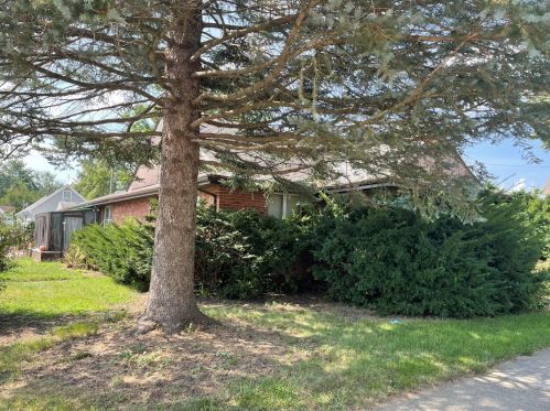 928 Livingston St, Swygert IL  61764-1421 exterior
