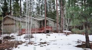 48 Fox Tail Ln, Clio, CA 96106-9803