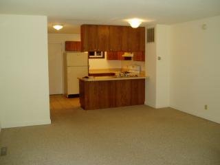 901 Hartwell Dr, Savoy IL  61874-9720 exterior