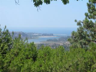 7141 Obelisco Cir, Carlsbad, CA 92009-6522