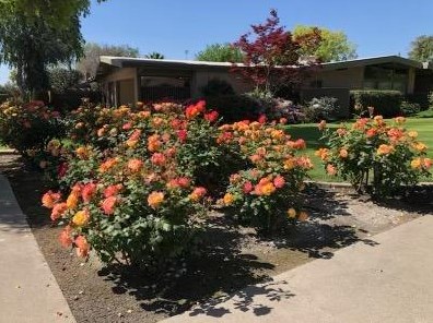 1501 Blossom St, Dos Palos, CA 93620-2703