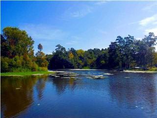 132 Loch Dr, Cross, SC 29436-3611