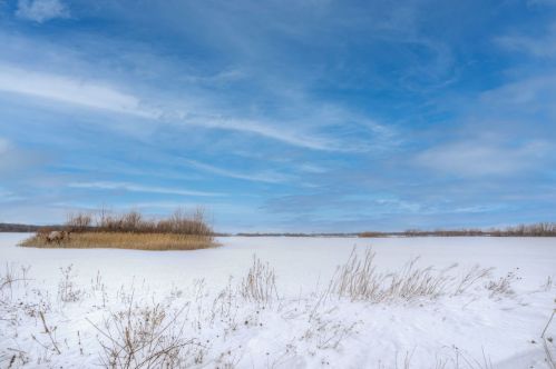 1600 Bristol Dr, Pingree Grove IL  60140-9038 exterior