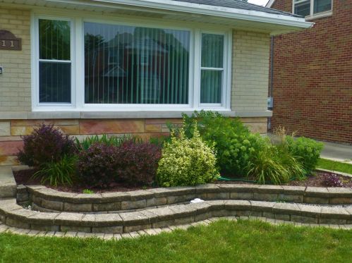 311 Russel St, Mount Prospect, IL 60056-2446