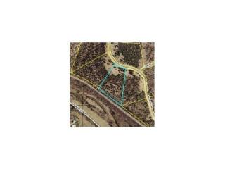39 Mills Hollow Rd, Branson, MO 65616