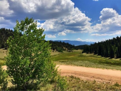 1076 Swiggler Rd, Fairplay, CO 80456