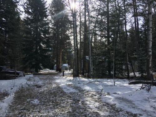 12868 Hereford Rd, Tamarack, ID 83615-5036