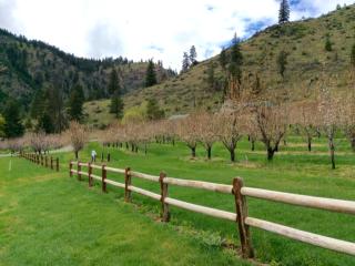 400 Mad River Rd, Entiat, WA 98822-9776