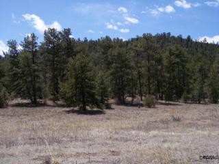 1038 Texas Creek Ln, Cotopaxi, CO 81223-9647