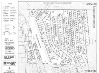 240 Butte St, Detroit, OR 97342-0900
