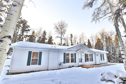 181 Jenwood Dr, Twin Rock, CO 80816-8000