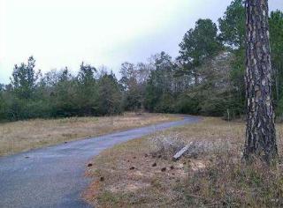 24274 Mchenry Rd, Howison, MS 39574-8612