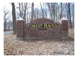 302 Rinderer Rd, Breese, IL 62293-4546