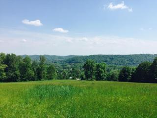 210 Old Tacora Hills Rd, Clinton, TN 37716-5843