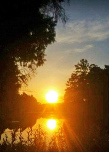 66 New Delaughter Dr, North Augusta, SC 29860-8470