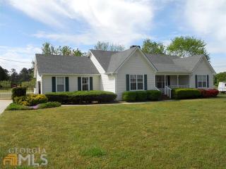 120 Country Meadows Ct, Mcdonough, GA 30252-3039
