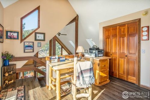 1601 Zermatt Trl, Estes Park CO exterior