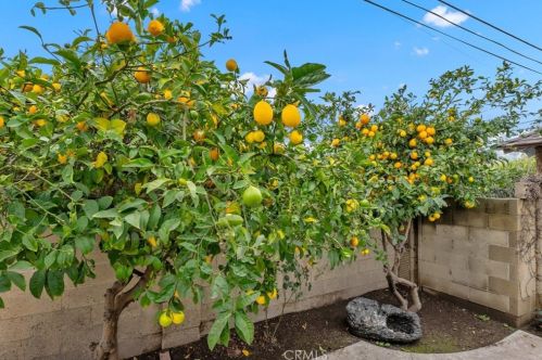 2732 Virginia Ave, Anaheim CA  92806-4353 exterior