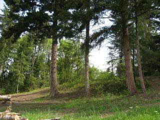 171 Jaeger Rd, Kalama, WA 98625-9784