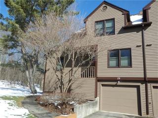 19 Bittersweet Cir, Upper Stepney, CT 06468-2649