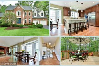 11191 Longwood Grove Dr, Herndon, VA 20194-1313