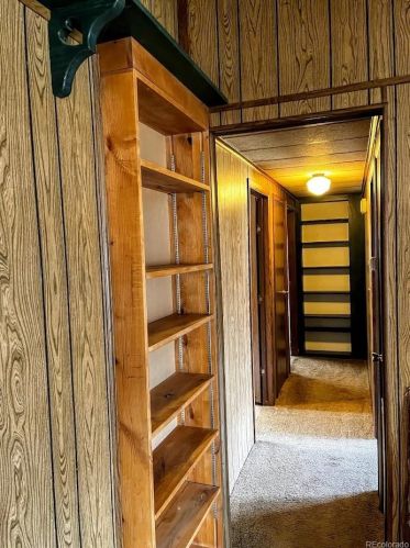 588 Coronado Dr, Deckers CO 80135-8316 exterior