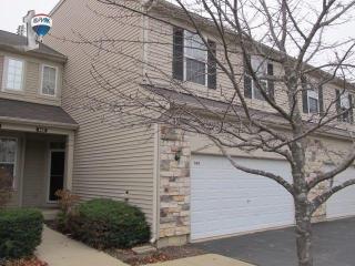 543 Shakespeare Dr, Volo IL  60030-3368 exterior