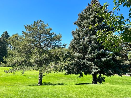 165 1000, Perry UT 84302-1541 exterior